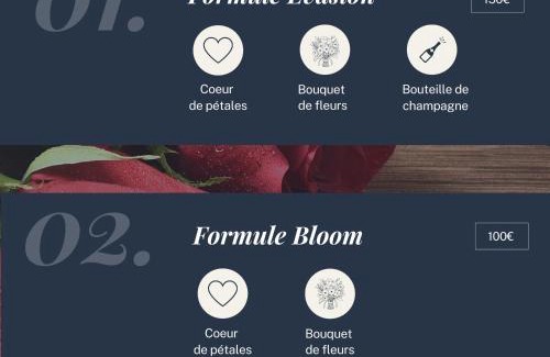 Centre Deux Apartment | Bibemus Casa Maja - baignoire balnéo - parking - terrasse