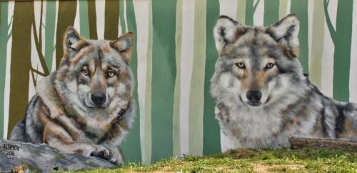 Wetlina House | Biesy2