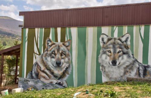 Wetlina House | Biesy2