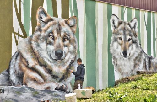 Wetlina House | Biesy2