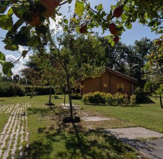 Valkenswaard House | Bij de Appelhof