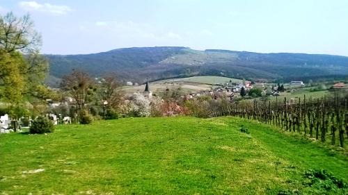 Dunaszentmiklos House | Bike Stop Duna