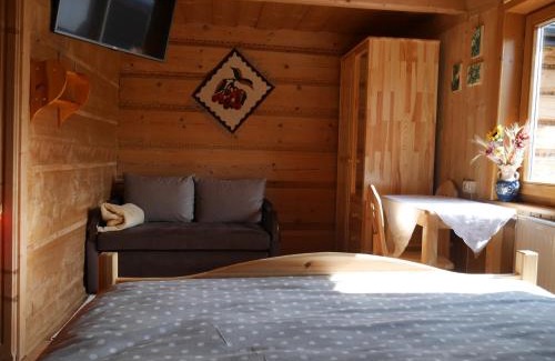Czarny Dunajec Apartment | Biołe Izby