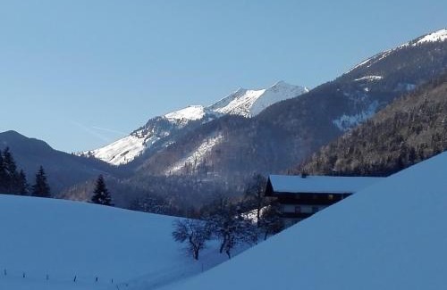 Landl Apartment | Bio-Bauernhof "Hecherhof"