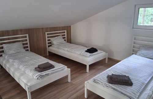 Zalesie Gorne House | Bizon Village