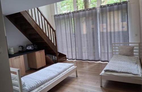 Zalesie Gorne House | Bizon Village