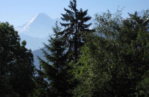 Beatenberg Apartment | Blüemlisalp 712 Studio