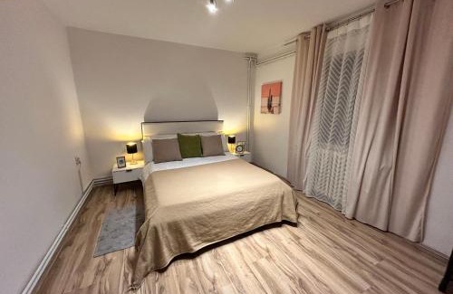 Zrenjanin Apartment | Black and Ginger Residence