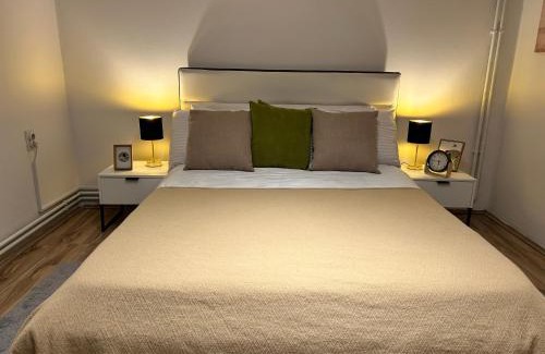 Zrenjanin Apartment | Black and Ginger Residence