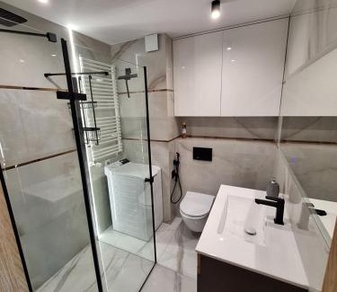 Plock Apartment | Black onyx