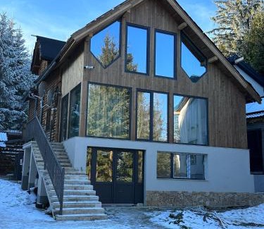 Paltinis House | Black Wolf PĂLTINIȘ