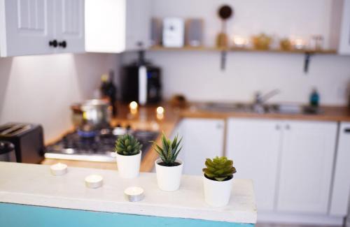 Lubon Apartment | Blue Apartament