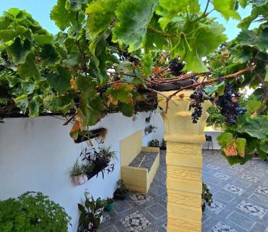 Tabarka Apartment | Blue Horizon Tabarka your seaside escape