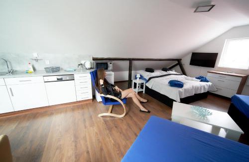 Karlovy Vary Apartment | Bluestars Family