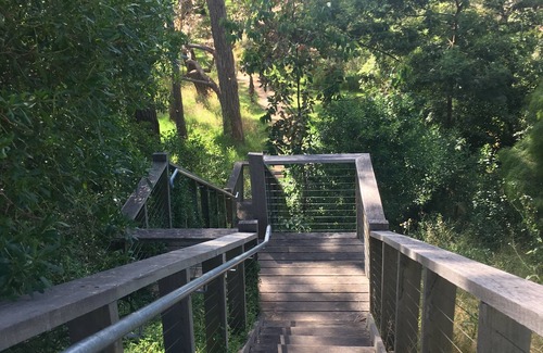 St Leonards Apartment | Bluff House Studio 2min beach.Short term Exclusive 2 guests. Coffee Machine.