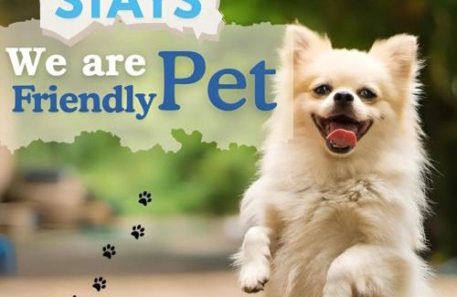 Safdarjung Enclave Apartment | BluO 4BHK Safdarjung Enclave - Lift & Balcony