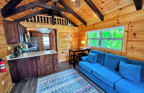 Twin Mountain Cabin | BMV7 Awesome "Tiny Home" A/C, Mountain Views, Minutes to Skiing, Hiking, Attractions, Dog Friendly!