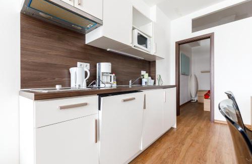 Bozi Dar Apartment | Boží Apartmány I