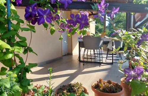 Gyula Apartment | Bodza apartman