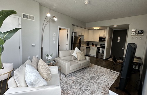 Downtown Des Moines Apartment | Boho Box- DT DSM Skyline view