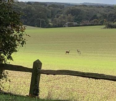 Petersfield Bed & Breakfast | Bootmenders B&B