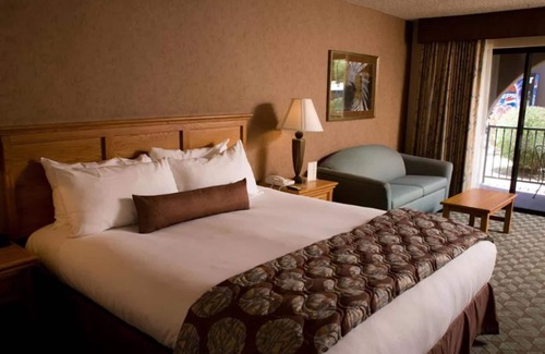 Borrego Springs Resort | Borrego Springs Resort & Spa