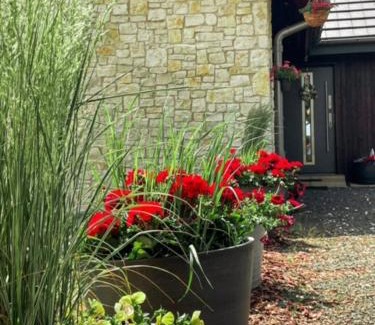 Wielka Wies Bed & Breakfast | Boski Zakątek