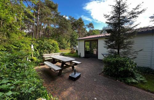 Diever Ski Chalet | Boszicht