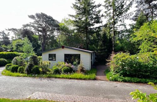 Diever Ski Chalet | Boszicht