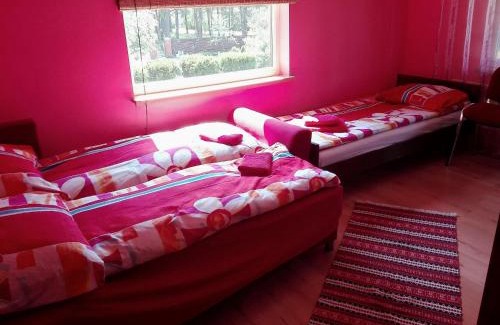 Skulte House | Brīvdienu māja"Jauneglites"