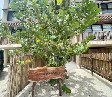 Isla Holbox Apartment | Breathtaking Ocean Vista Penthouse with Private Pool