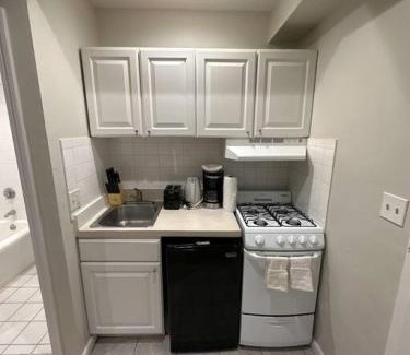 Prudential - St. Botolph Apartment | Brixton Studio Minutes from Back Bay