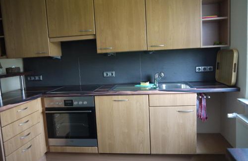 Vienenburg Apartment | Brocken in Sicht