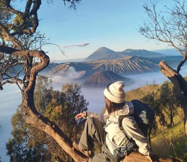 Tosari House | Bromo Tanjung