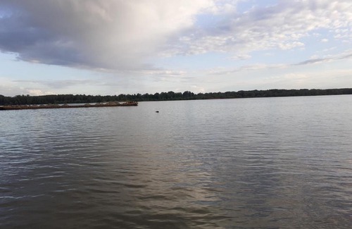 Vojvodina House | Brvnara na Dunavu