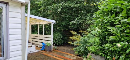 De Pol Other | Buddha's Garden