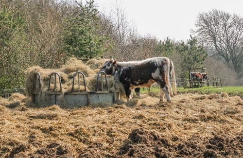 Gumley Cottage | BUDDY (SHEPHERDS HUT), pet friendly, with hot tub in Kibworth