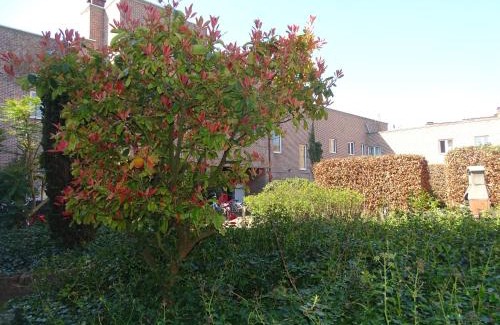 Leuven Apartment | Budget Flats Leuven