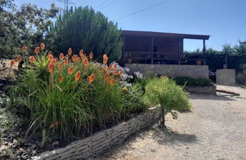 Viseu House | Bungalow da Pedreira