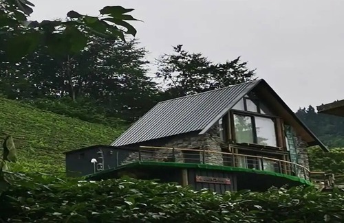 Ardesen House | Bungalow/Rize/Turkey