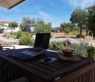 Serpa House | Burrico D`Orada - Lodging & Experiences