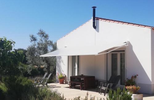 Serpa House | Burrico D`Orada - Lodging & Experiences