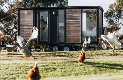 Alberton West House | Bush Retreat 1 by Tiny Away