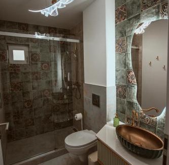 Hunedoara House | Butterfly