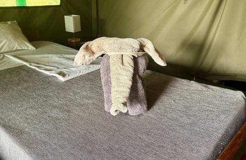 Pakwach Hotel | Bwana Tembo Safari Camp