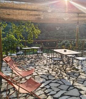 Gorra House | Cà Eucalipto