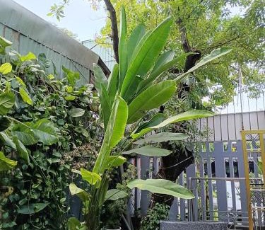 Cam Le Bed & Breakfast | Cát Tường Homestay