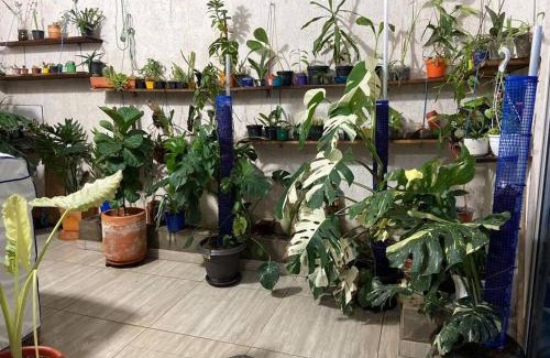 San Jose del Guaviare House | Cómoda casa cerca al centro