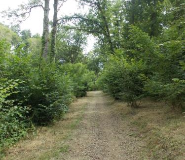 Le Mayet-de-Montagne House | côté jardin