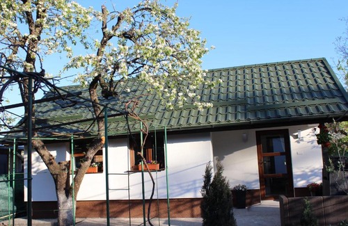 Breaza de Jos House | Căsuța artiștilor